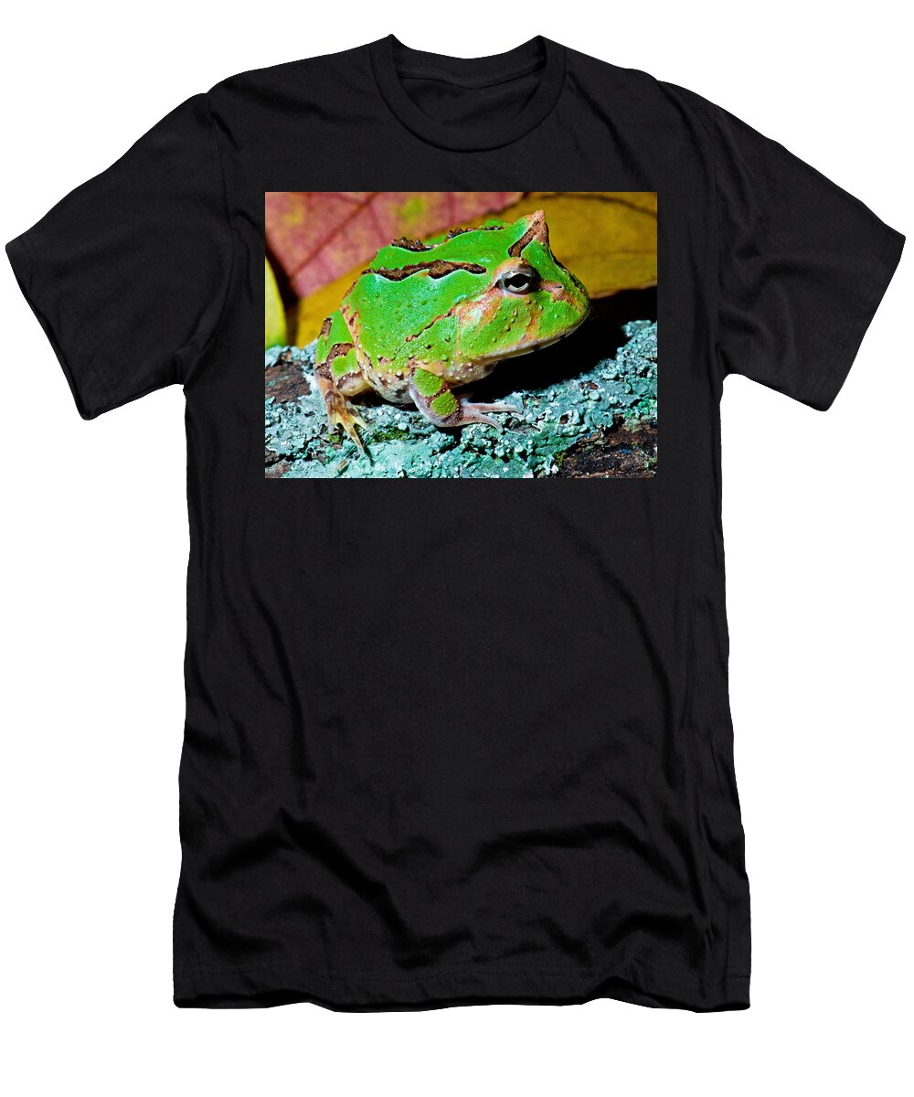 4 Green Fantasy Frogpacman Frog Millard H Sharp T-Shirt