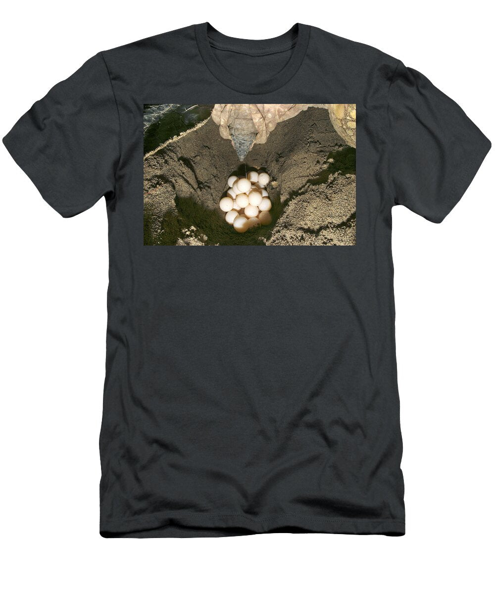 4 Green Turtle Laying Eggs M Watson T-Shirt