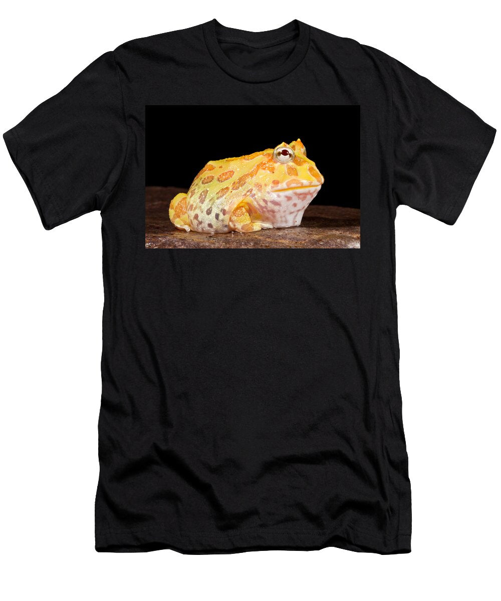 4 Pac Man Frog Ceratophrys David Kenny T-Shirt