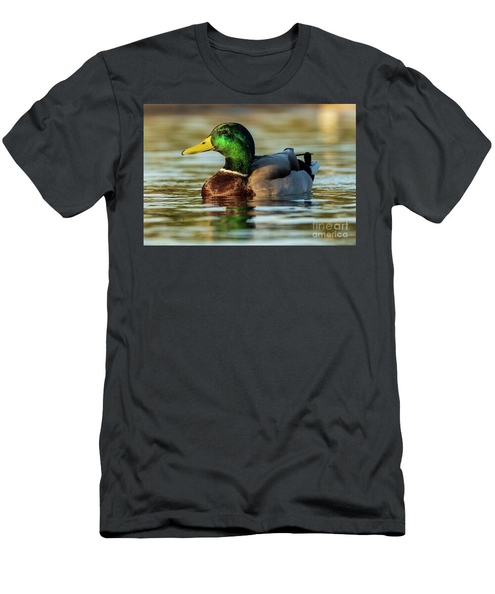 40 Mallard Anas Platyrhynchos Costa Ballena Cadiz Pablo Avanzini T-Shirt
