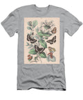 41 European Butterflies Ans Moths W F Kirby T-Shirt
