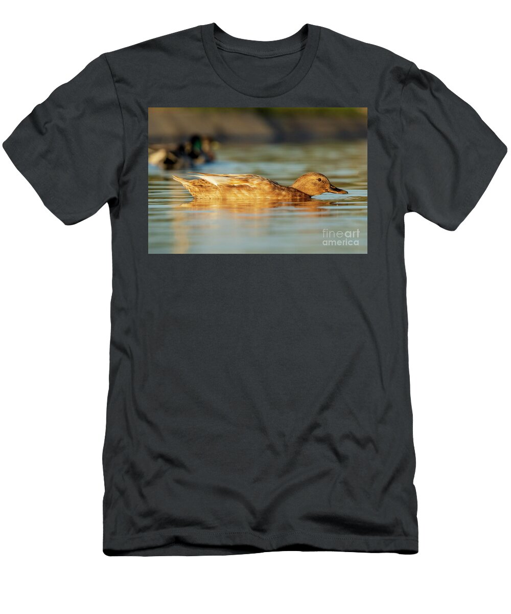 41 Mallard Anas Platyrhynchos Costa Ballena Cadiz Pablo Avanzini T-Shirt