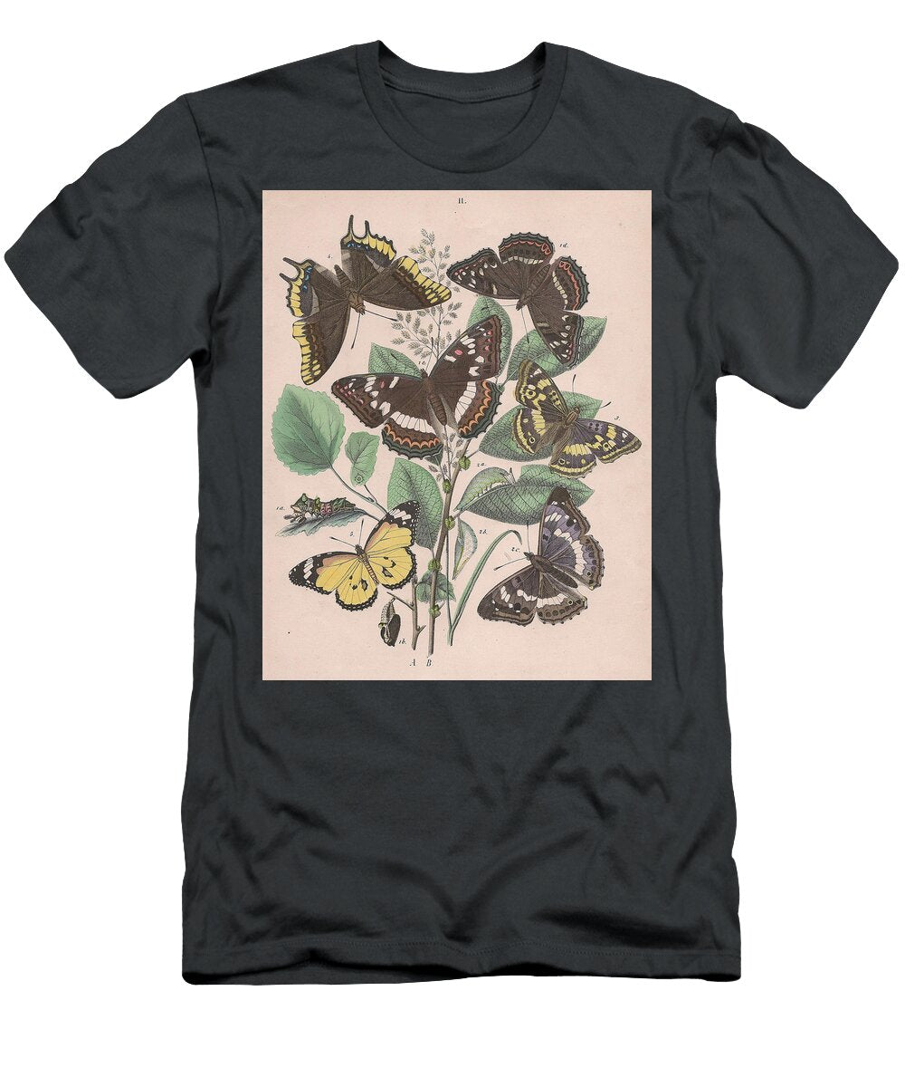 42 European Butterflies Ans Moths W F Kirby T-Shirt