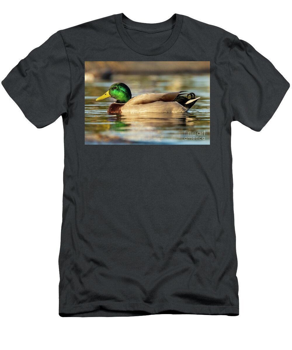 42 Mallard Anas Platyrhynchos Costa Ballena Cadiz Pablo Avanzini T-Shirt