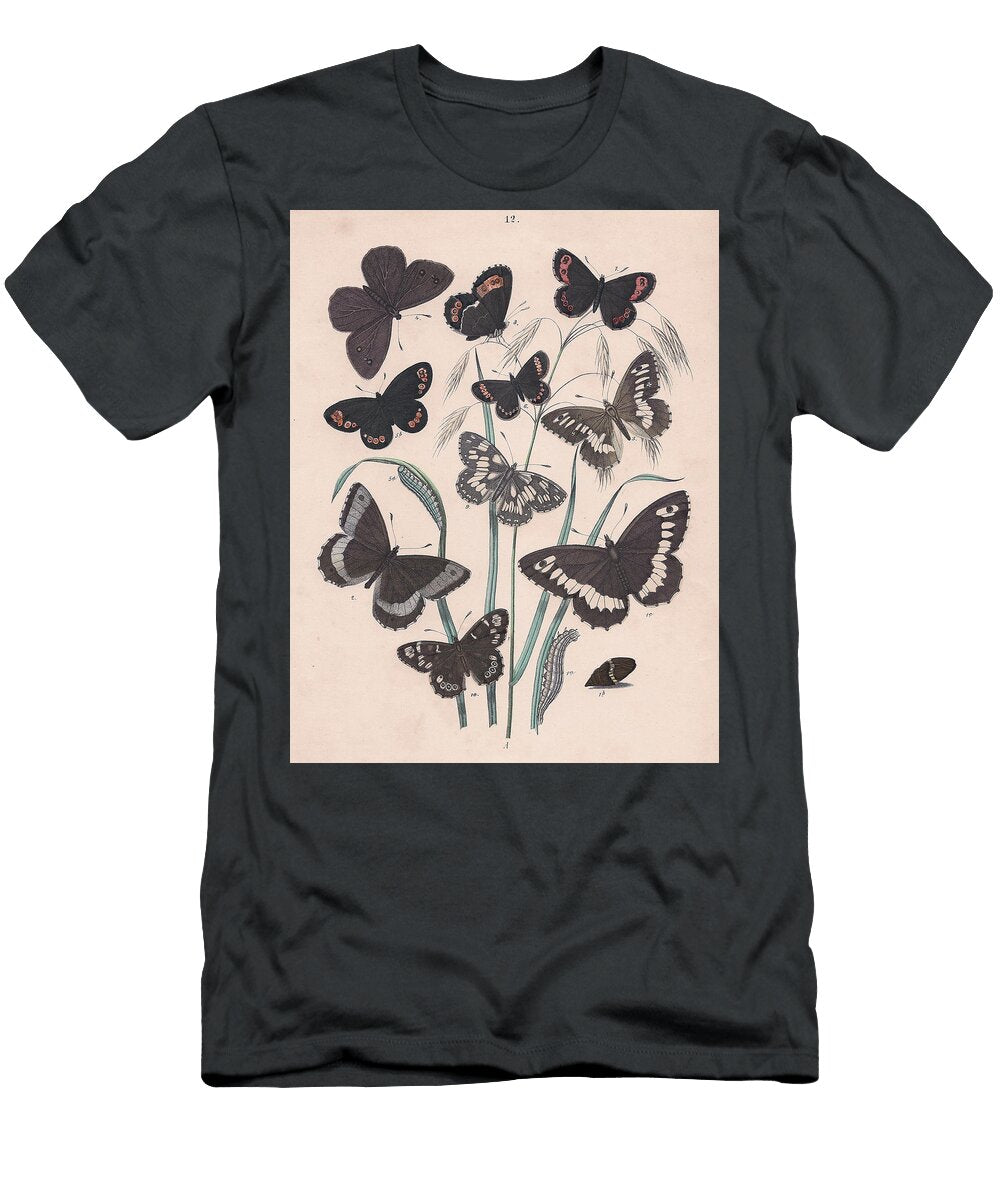 43 European Butterflies Ans Moths W F Kirby T-Shirt