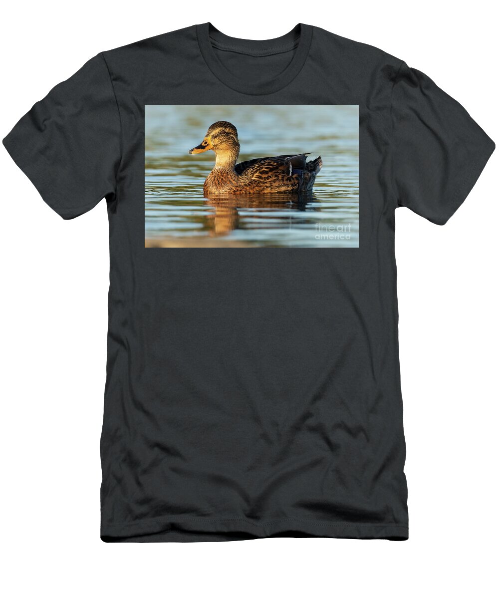 46 Mallard Anas Platyrhynchos Costa Ballena Cadiz Pablo Avanzini T-Shirt