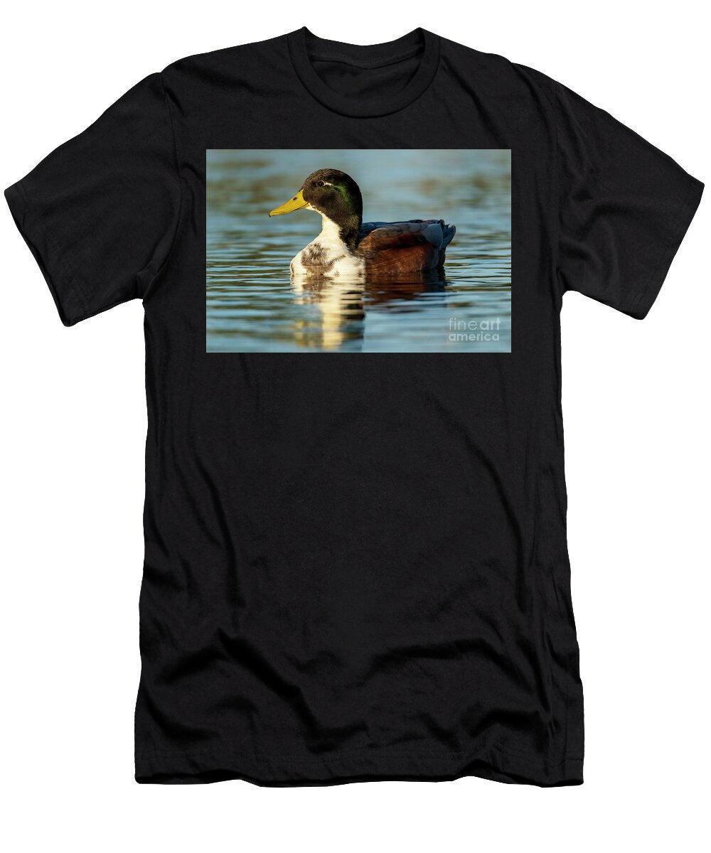 47 Mallard Anas Platyrhynchos Costa Ballena Cadiz Pablo Avanzini T-Shirt