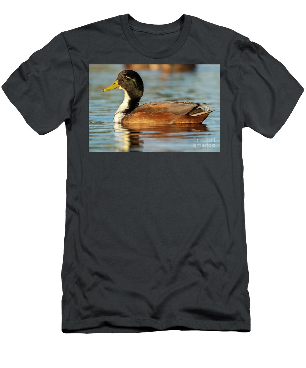 48 Mallard Anas Platyrhynchos Costa Ballena Cadiz Pablo Avanzini T-Shirt