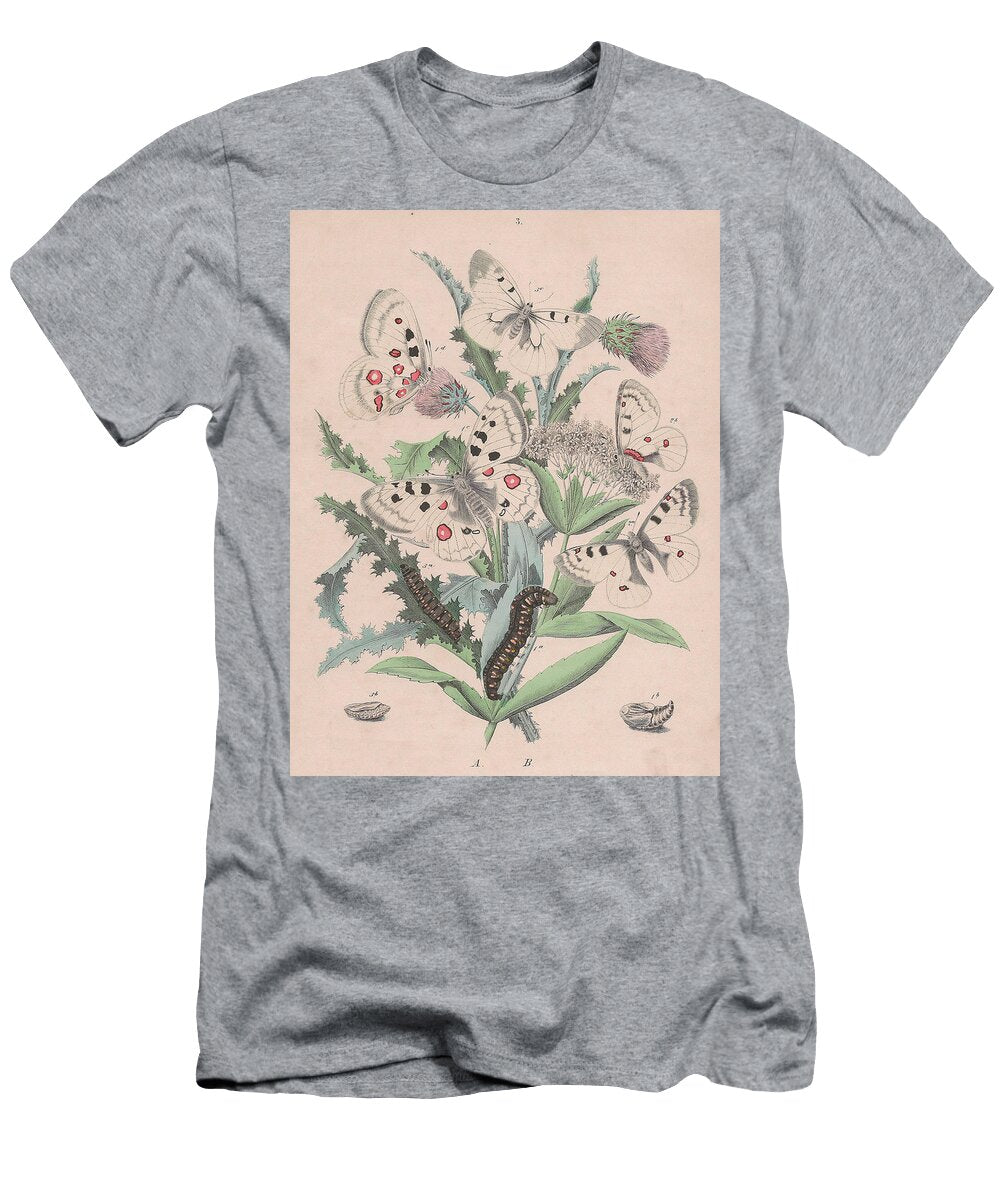 49 European Butterflies Ans Moths W F Kirby T-Shirt