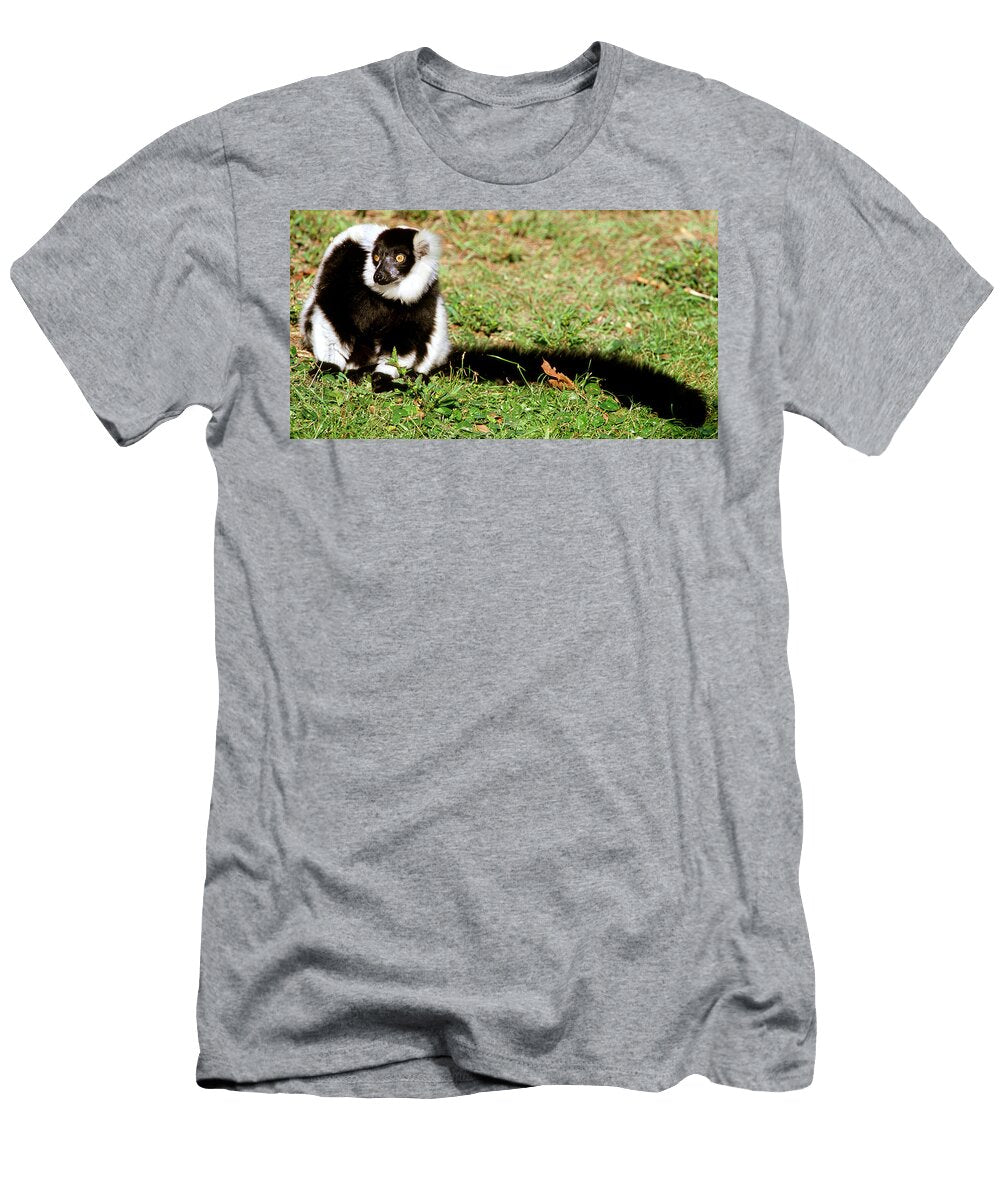 5 Black and White Ruffed Lemur Millard H Sharp T-Shirt