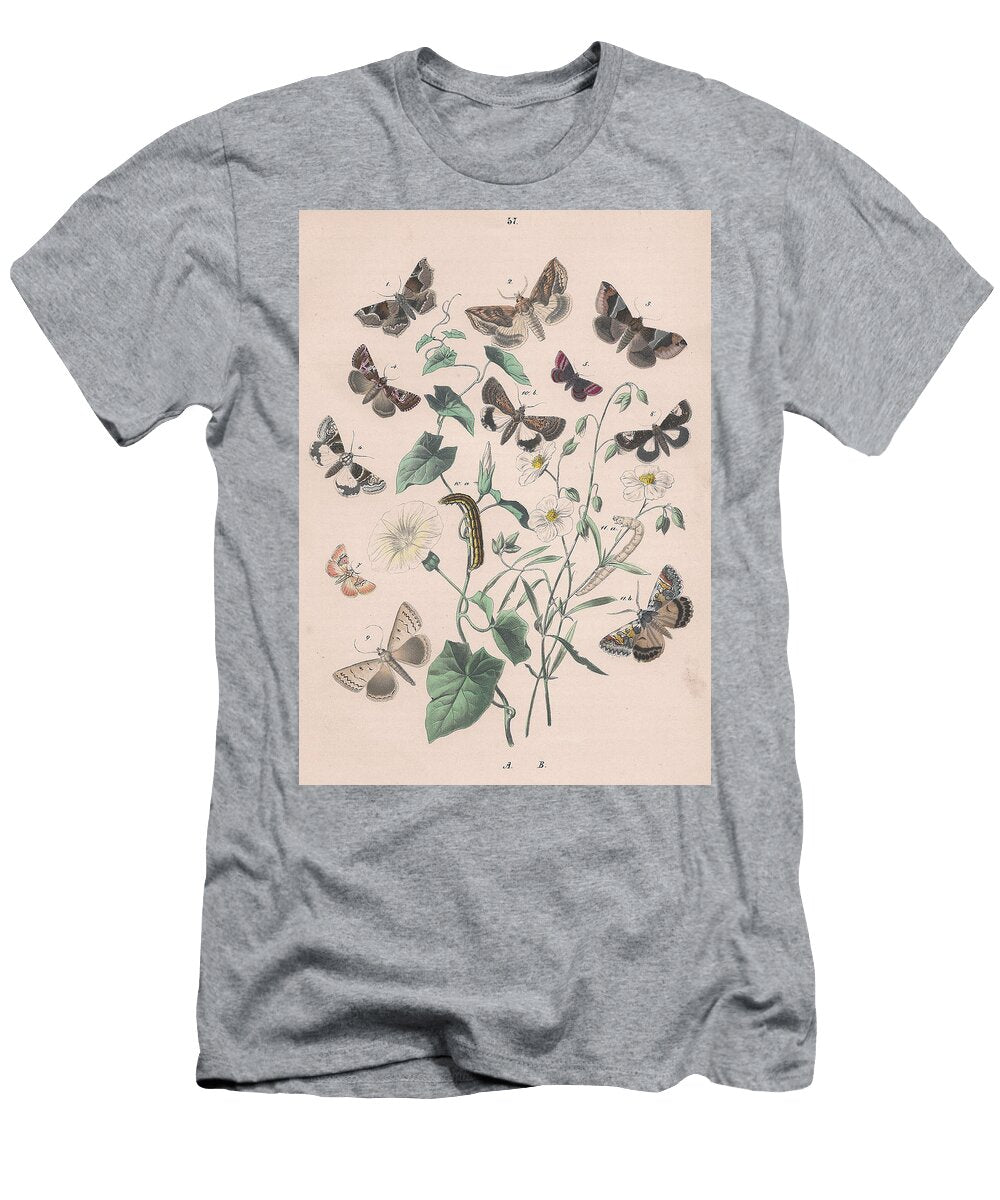 5 European Butterflies Ans Moths W F Kirby T-Shirt