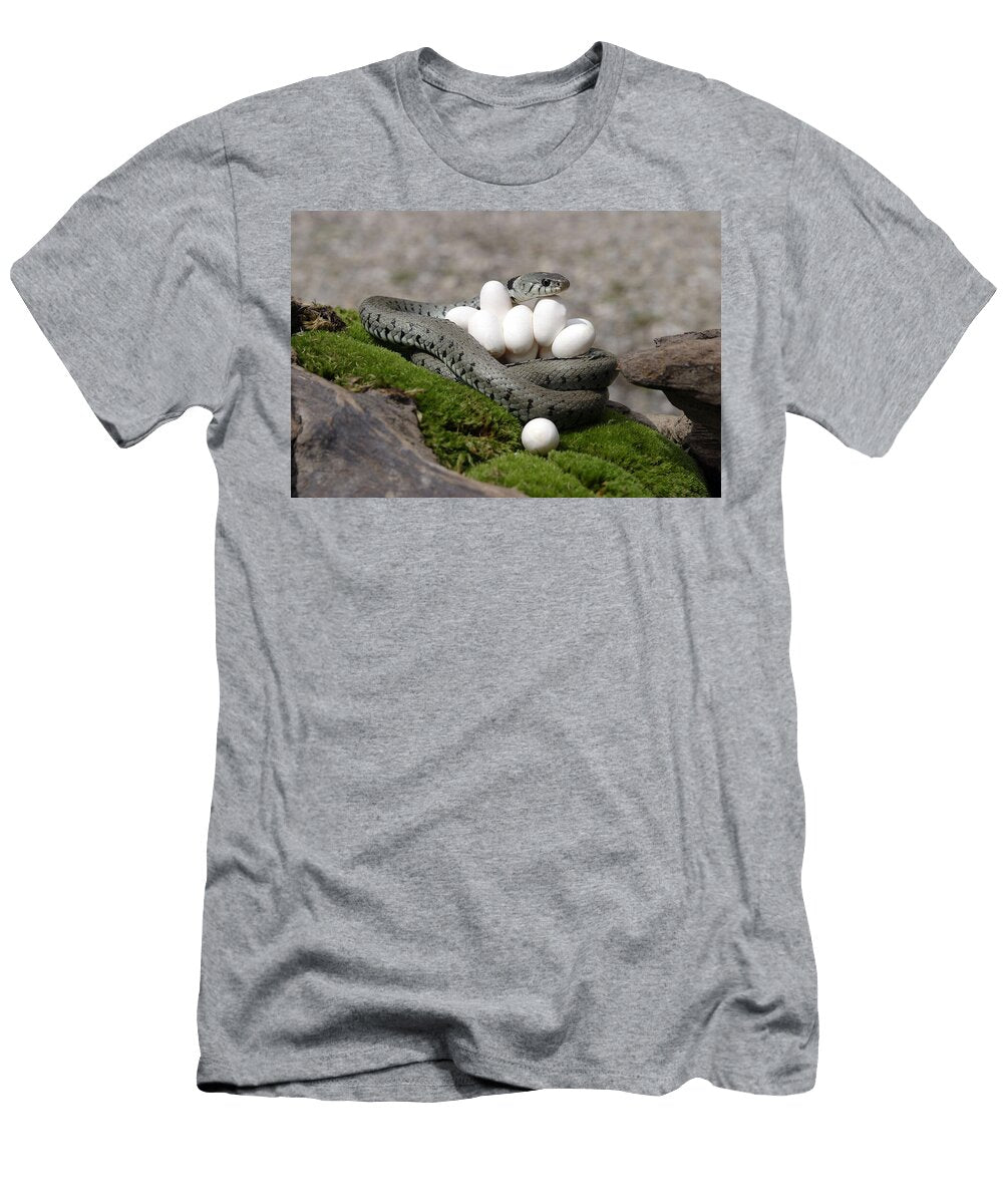 5 Grass Snake with Eggs M Watson T-Shirt