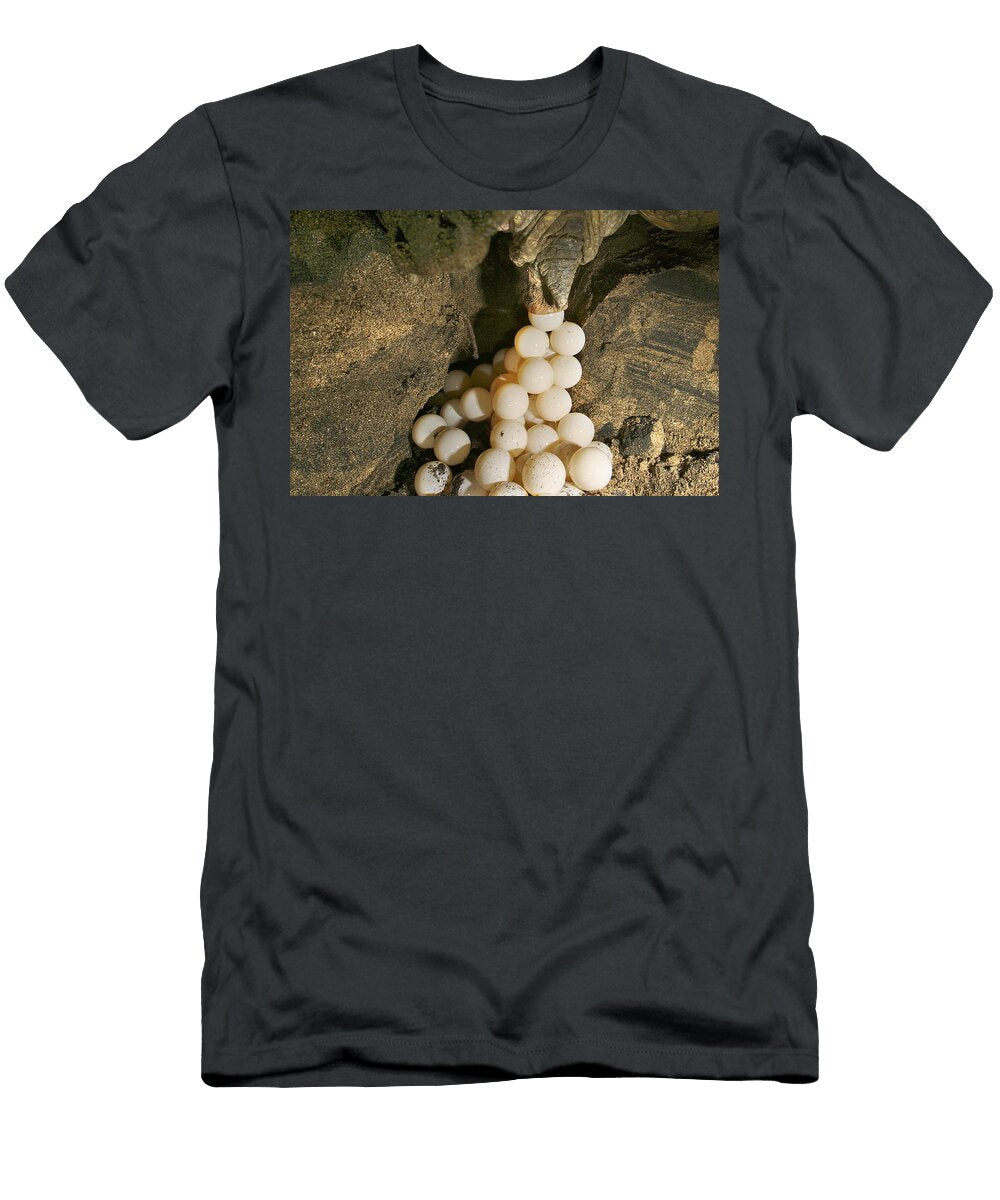 5 Green Turtle Laying Eggs M Watson T-Shirt