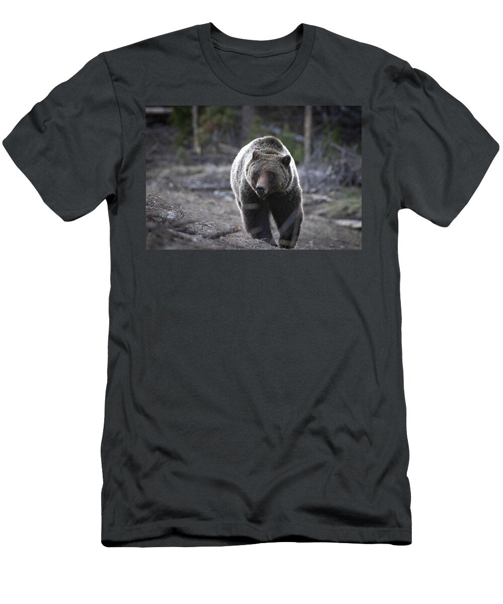 5 Grizzly Julie Argyle T-Shirt