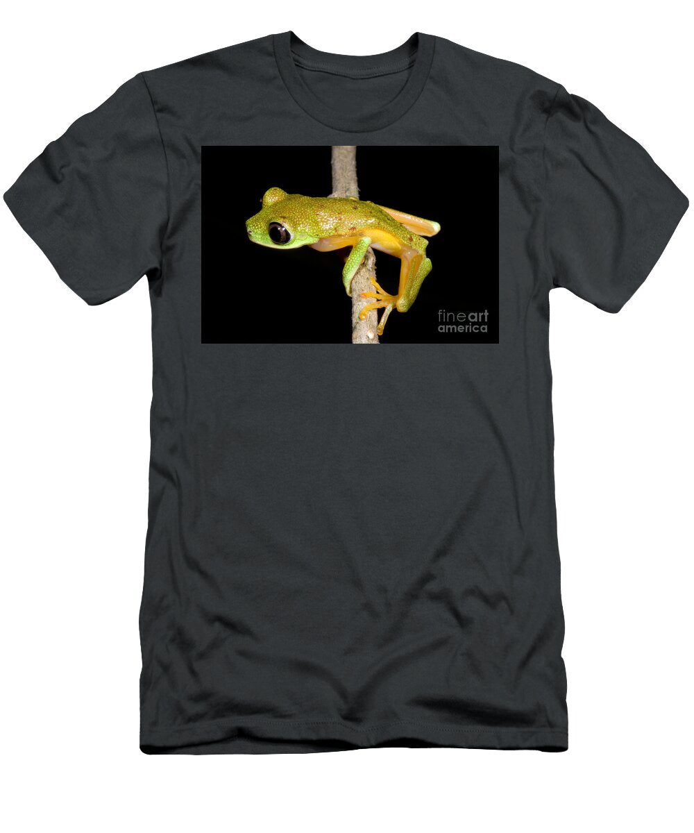 5 Tree Frog Dante Fenolio T-Shirt