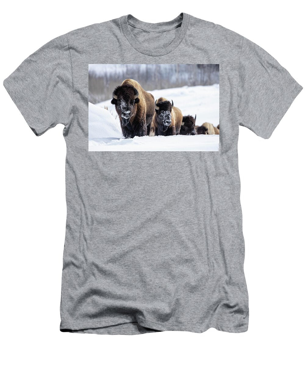 5 Winter Bison Julie Argyle T-Shirt