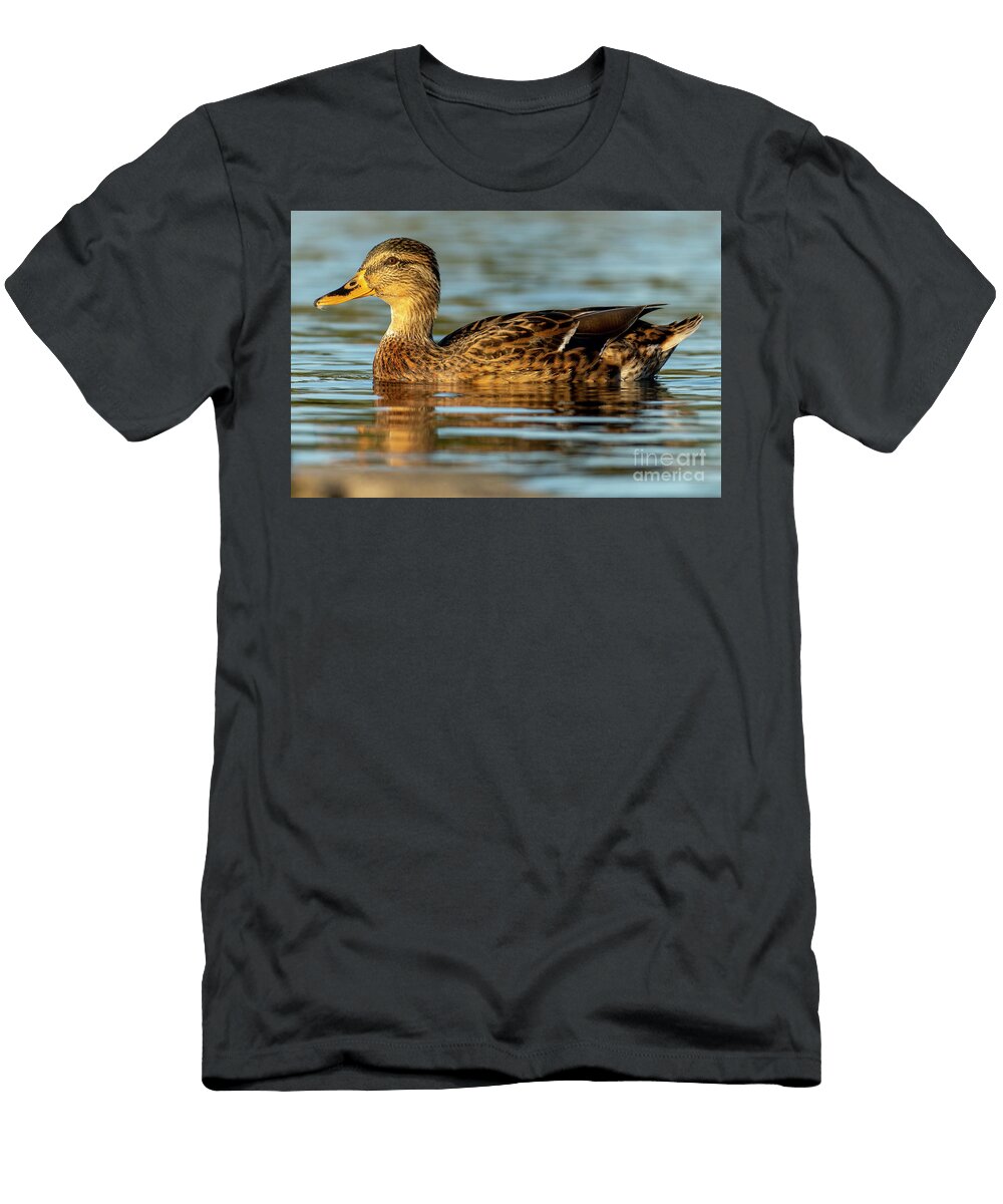 50 Mallard Anas Platyrhynchos Costa Ballena Cadiz Pablo Avanzini T-Shirt
