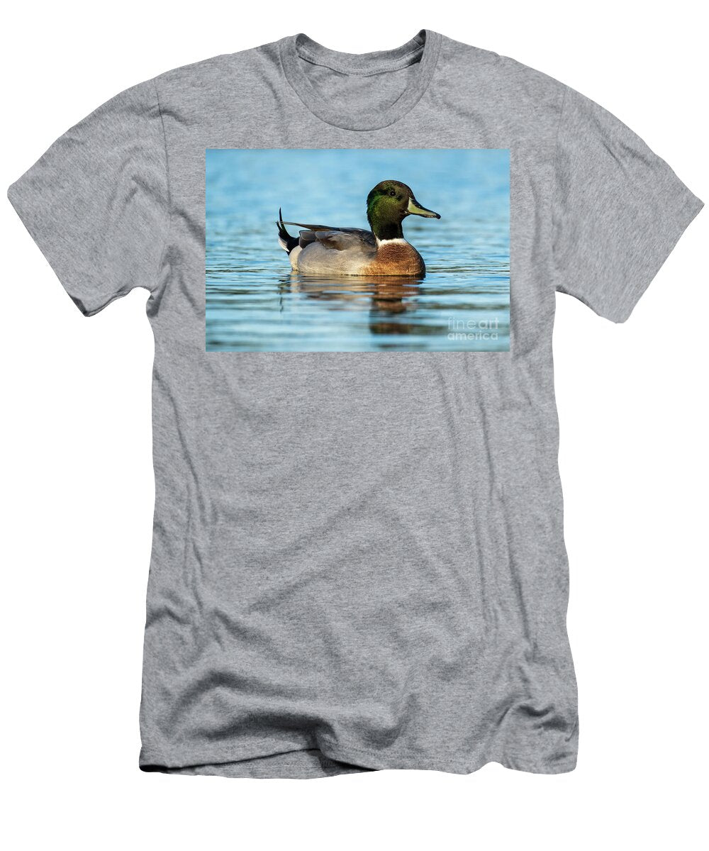 53 Mallard Anas Platyrhynchos Costa Ballena Cadiz Pablo Avanzini T-Shirt