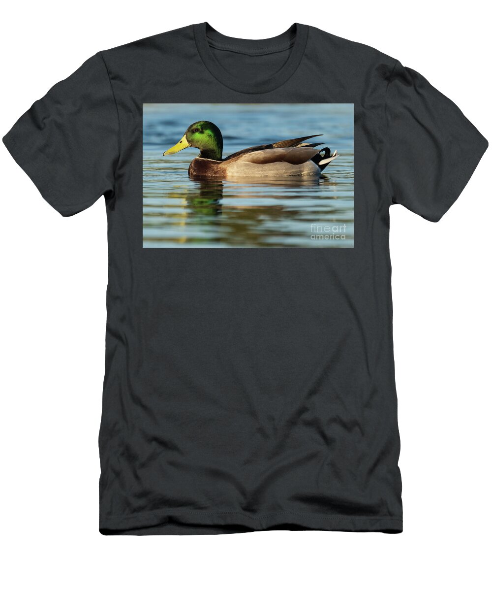 56 Mallard Anas Platyrhynchos Costa Ballena Cadiz Pablo Avanzini T-Shirt