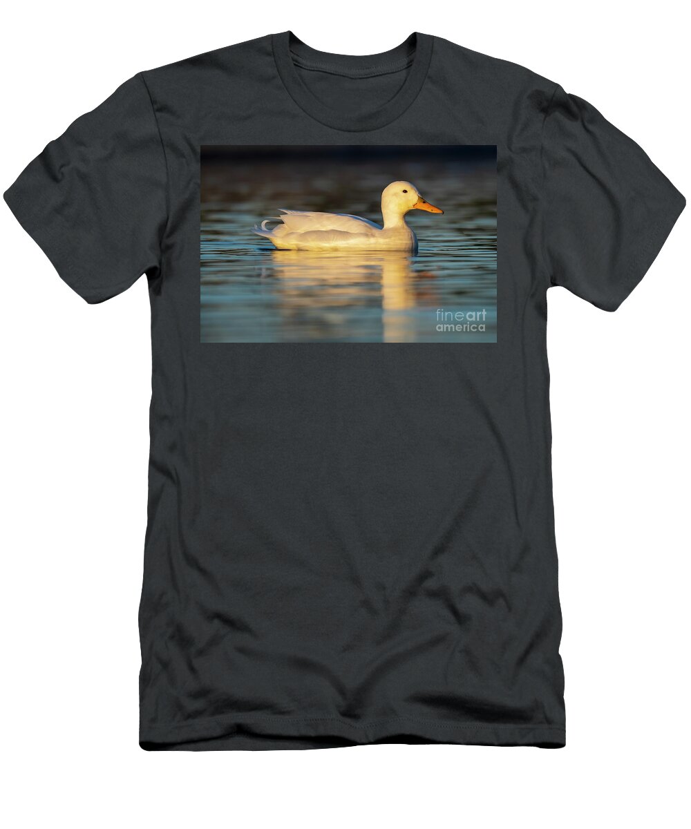 58 Mallard Anas Platyrhynchos Costa Ballena Cadiz Pablo Avanzini T-Shirt
