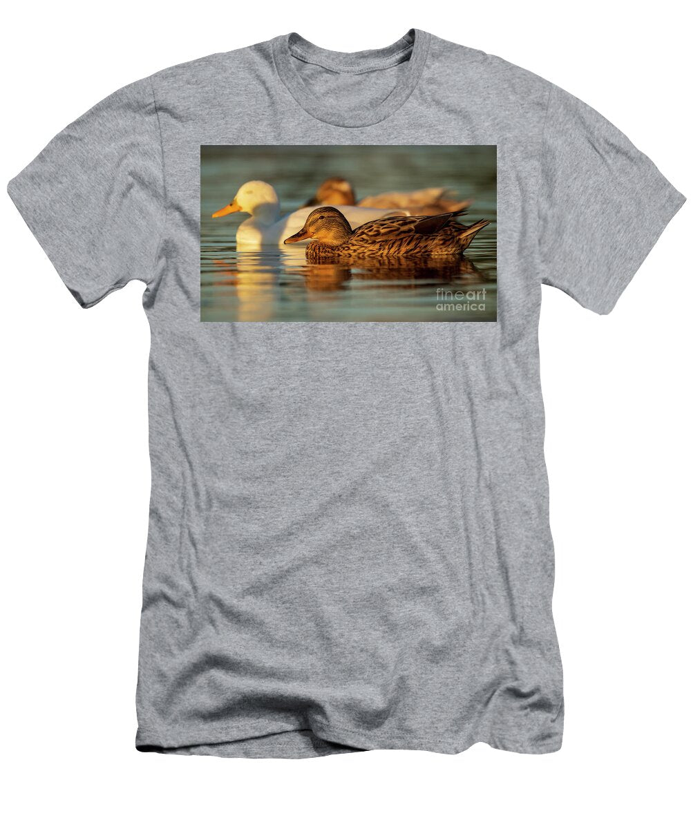 59 Mallard Anas Platyrhynchos Costa Ballena Cadiz Pablo Avanzini T-Shirt