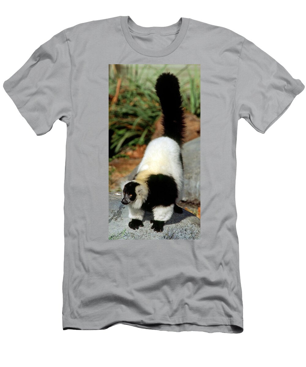6 Black and White Ruffed Lemur Millard H Sharp T-Shirt