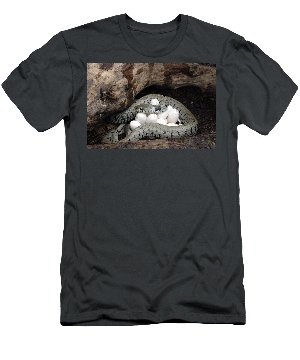 6 Grass Snake with Eggs M Watson T-Shirt