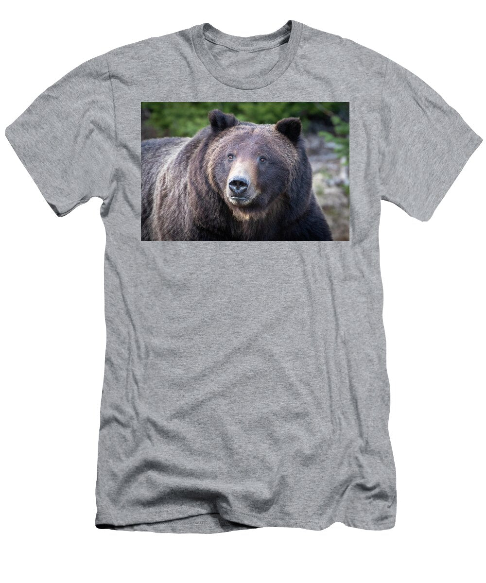 6 Grizzly Julie Argyle T-Shirt