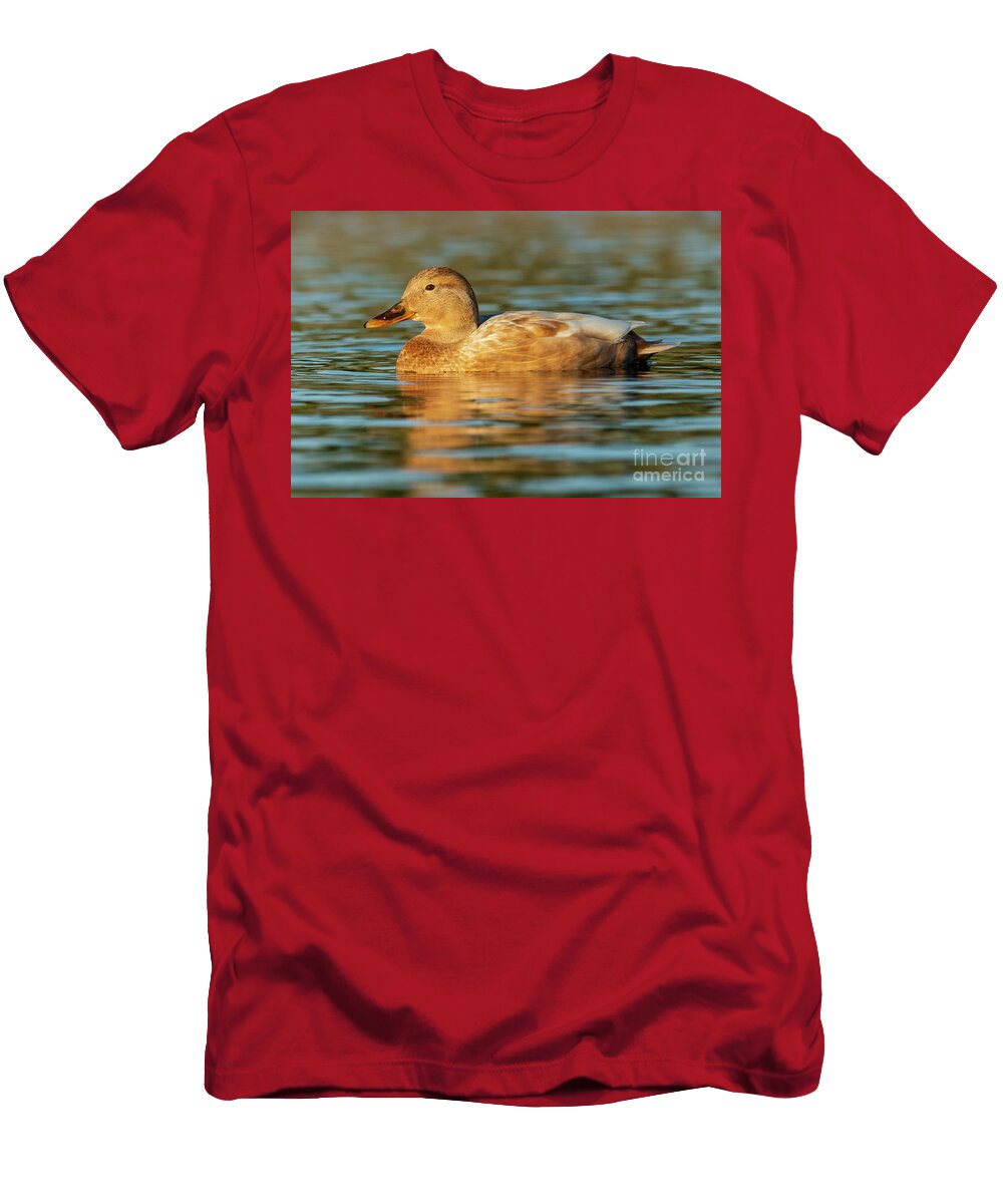 60 Mallard Anas Platyrhynchos Costa Ballena Cadiz Pablo Avanzini T-Shirt