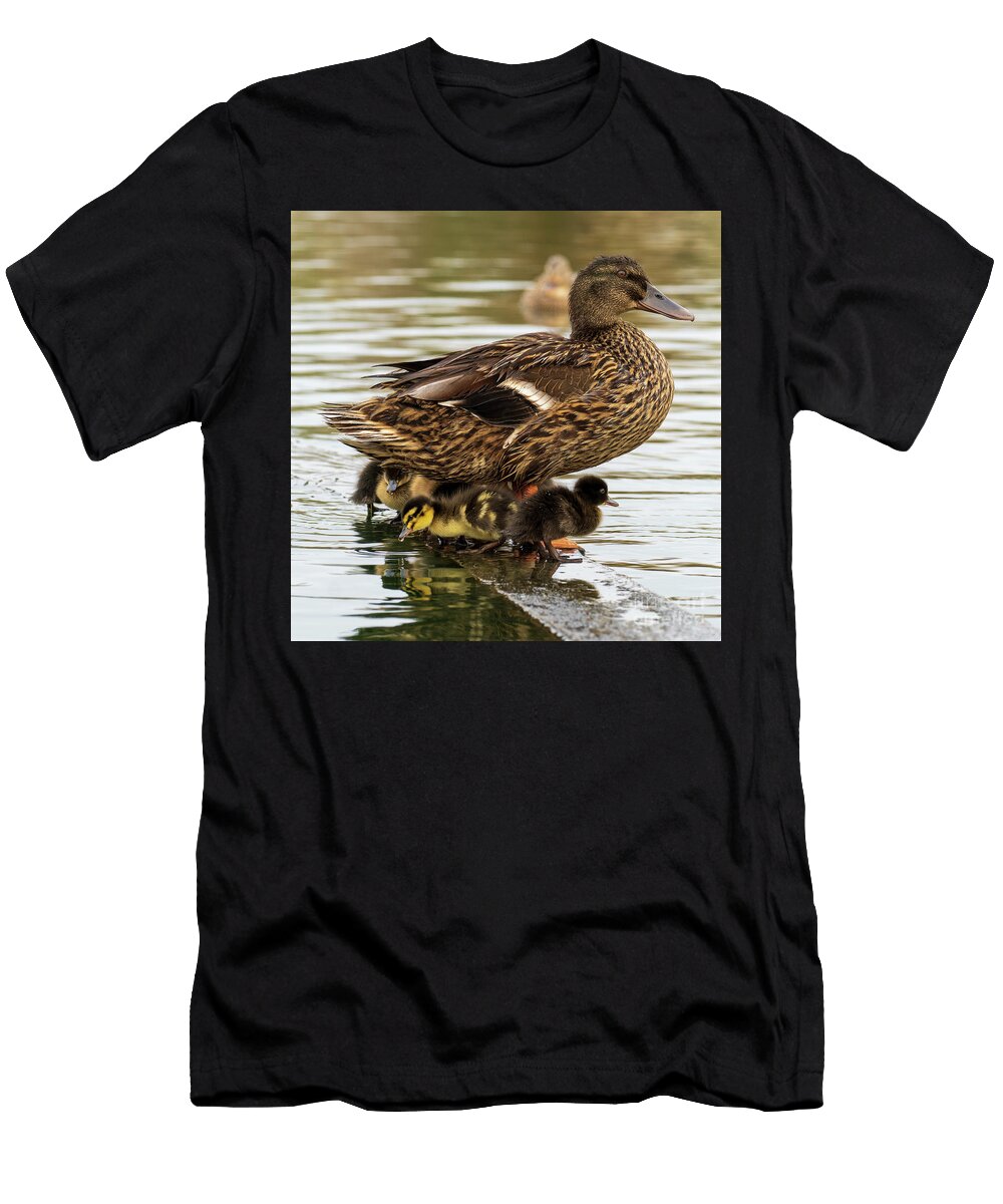 63 Mallard Anas Platyrhynchos Costa Ballena Cadiz Pablo Avanzini T-Shirt