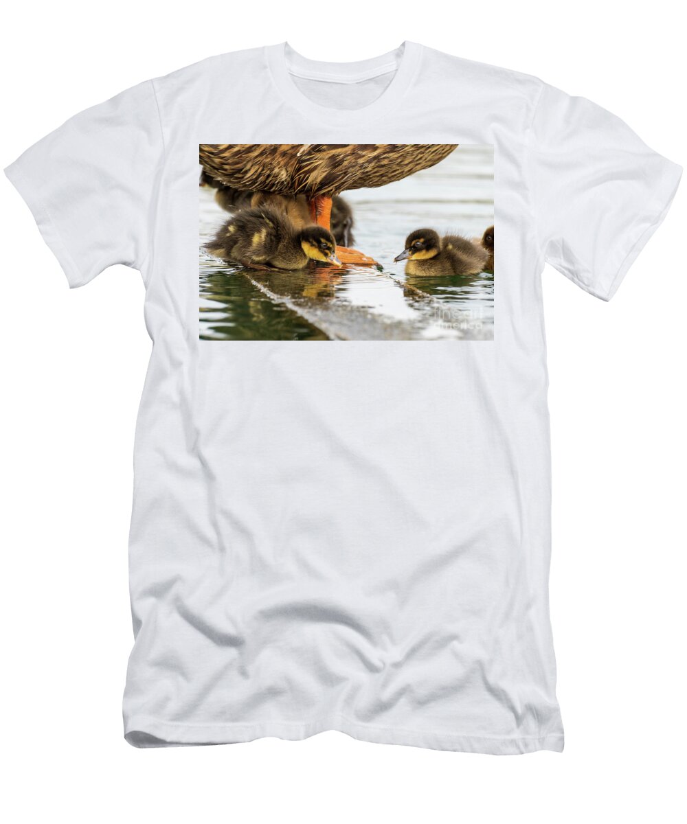 69 Mallard Anas Platyrhynchos Costa Ballena Cadiz Pablo Avanzini T-Shirt