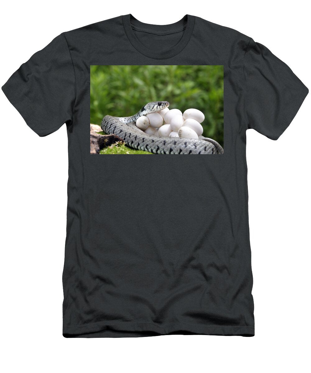 7 Grass Snake with Eggs M Watson T-Shirt
