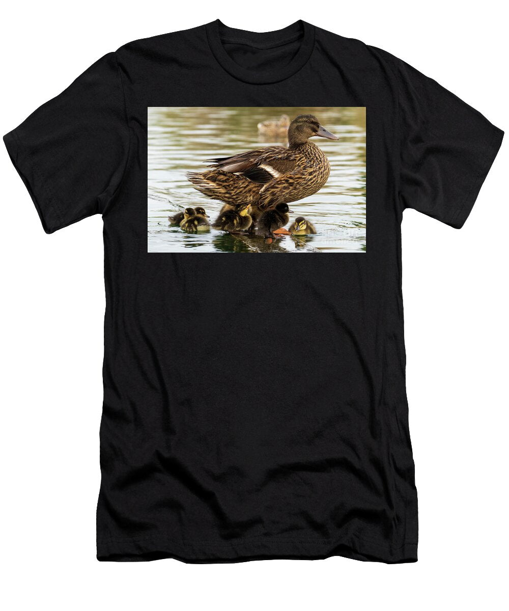70 Mallard Anas Platyrhynchos Costa Ballena Cadiz Pablo Avanzini T-Shirt