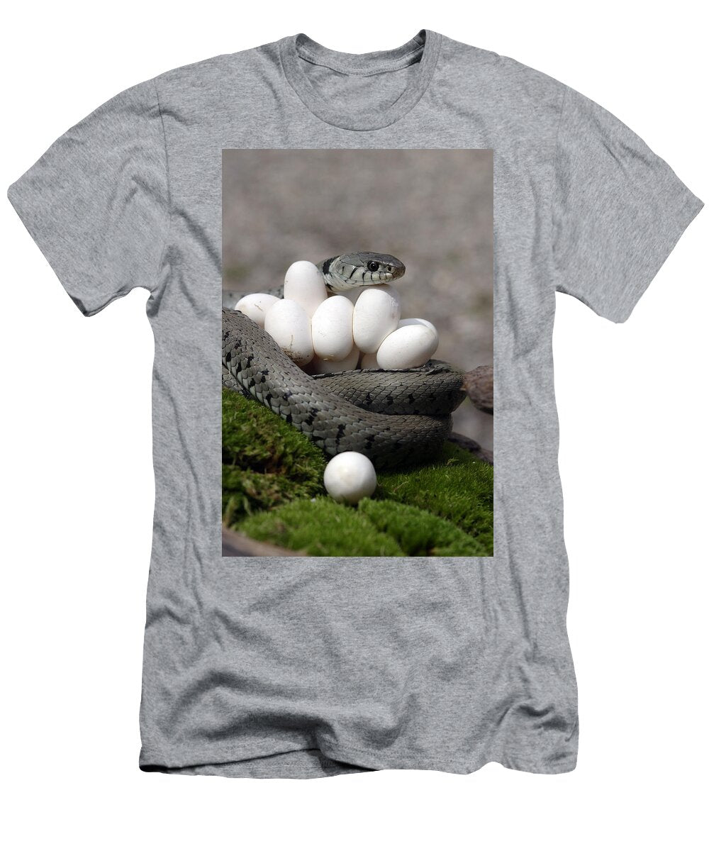 8 Grass Snake with Eggs M Watson T-Shirt