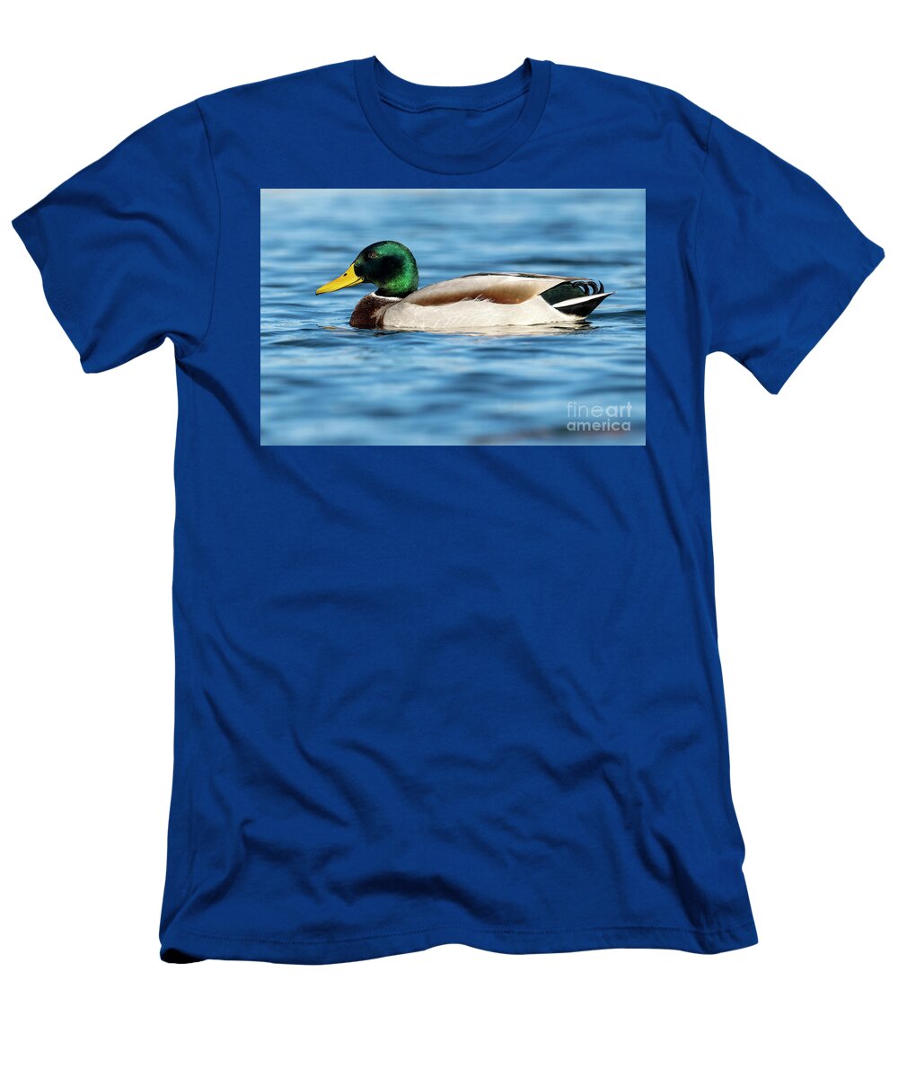 84 Mallard Anas Platyrhynchos Costa Ballena Cadiz Pablo Avanzini T-Shirt