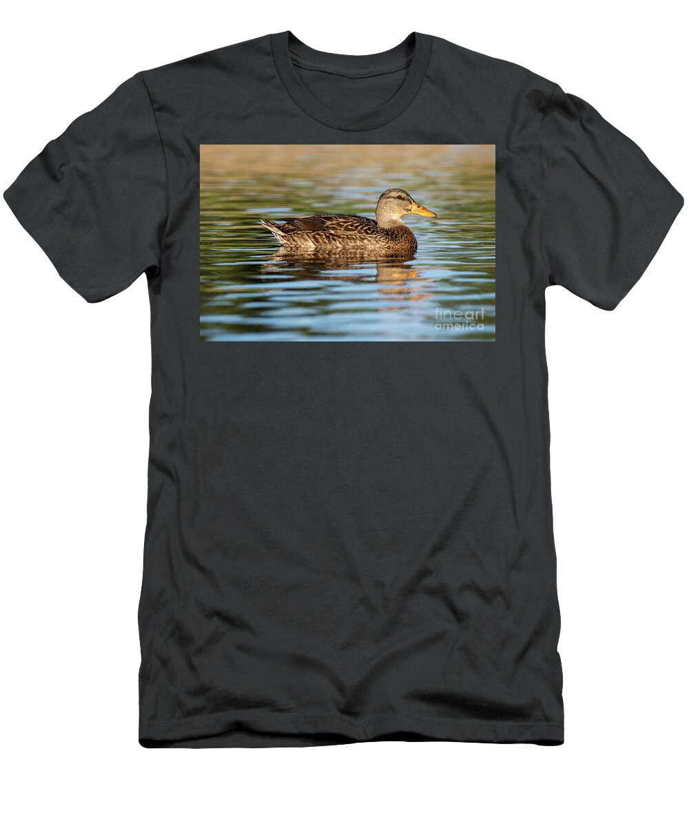 87 Mallard Anas Platyrhynchos Costa Ballena Cadiz Pablo Avanzini T-Shirt