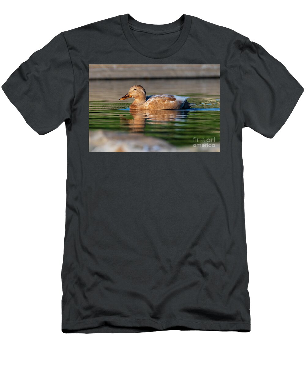 89 Mallard Anas Platyrhynchos Costa Ballena Cadiz Pablo Avanzini T-Shirt