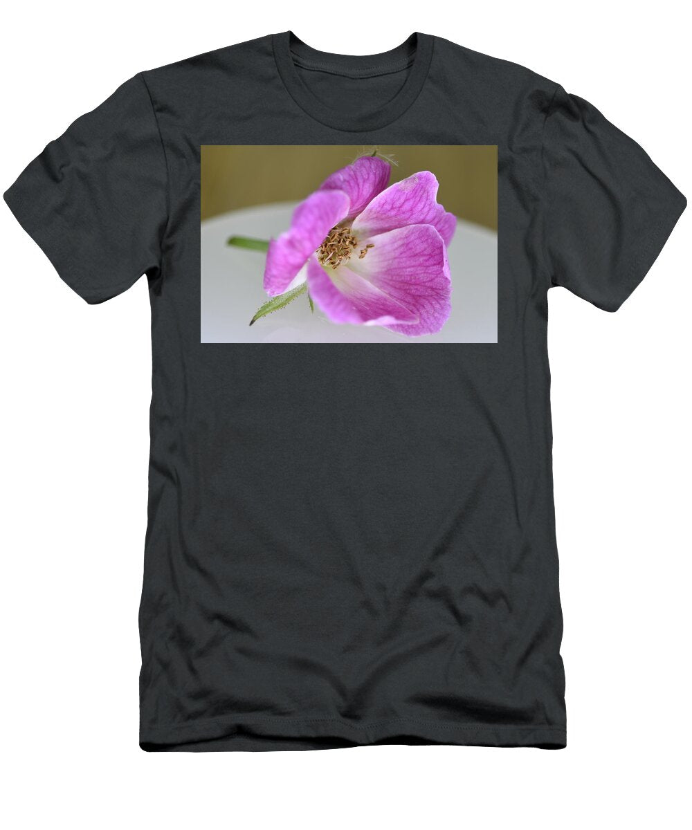 A Beautiful Closeup Photograph of a Pink Rose Sudip Jotshi T-Shirt