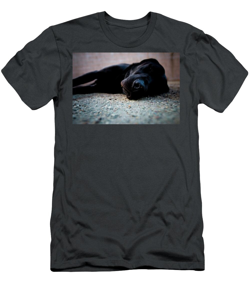 A Black Labrador Retriever Sleeps Elyse Butler T-Shirt