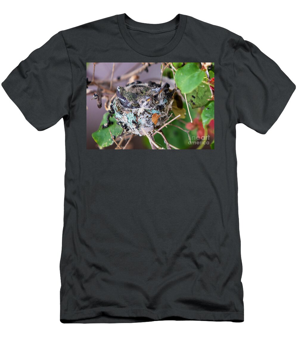 A Clutch of Two Ruby Throated Hummingbird Babies David Alexander Willis T-Shirt