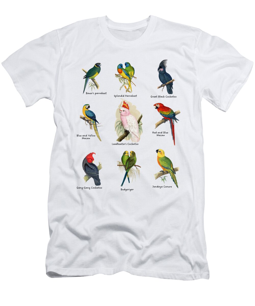 A Collection of Parrots Kreatif Studio Menggambar T-Shirt