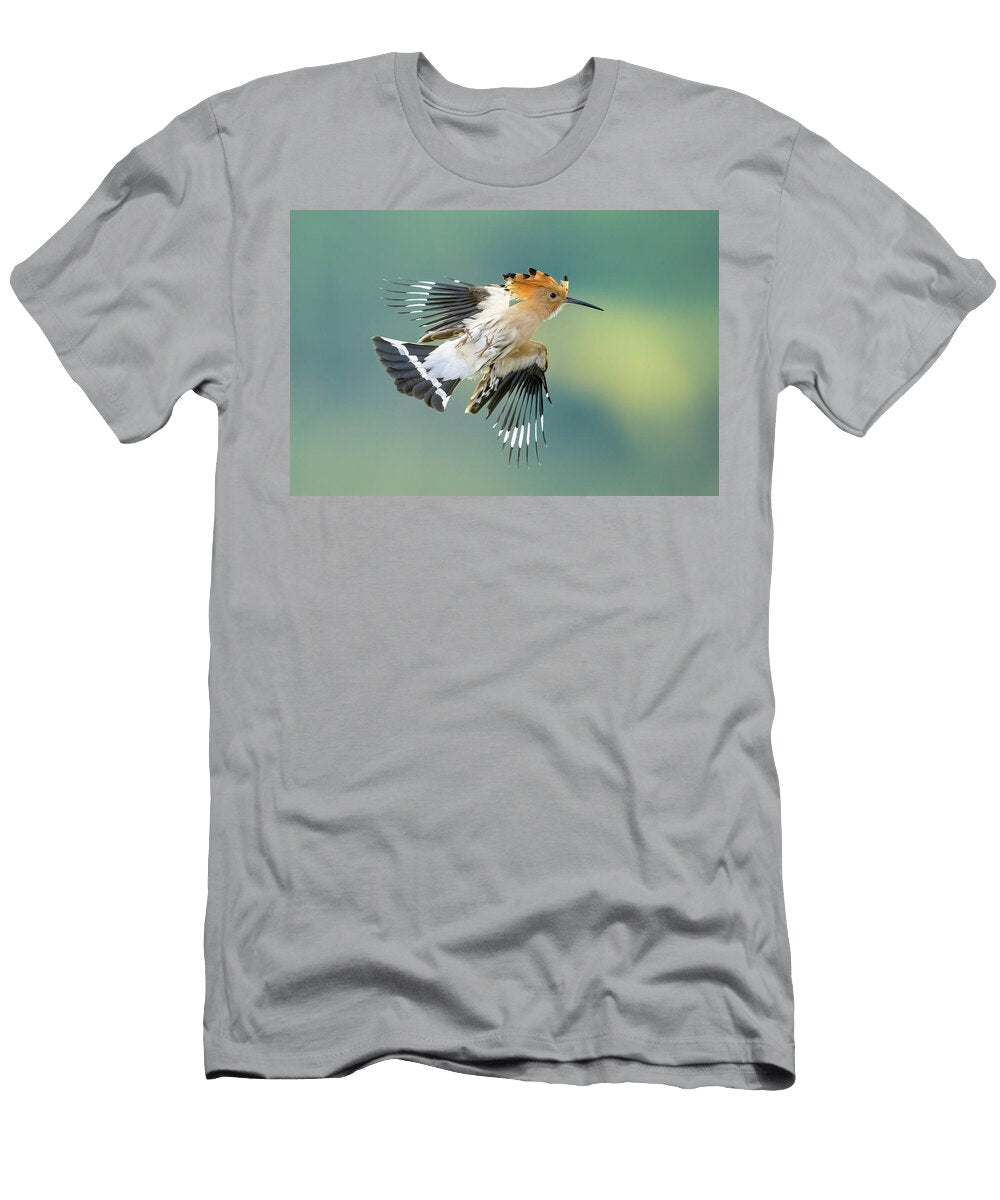 A Eurasian Hoopoe in an Awkward Position in Flight Stefan Rotter T-Shirt