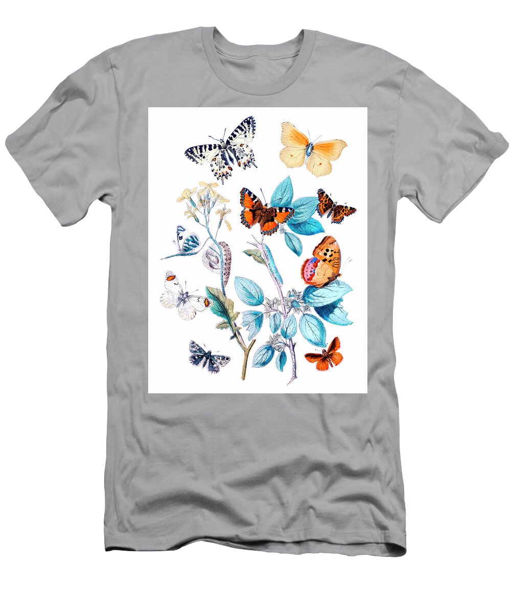 A Kaleidoscope of Fluttering Butterflies and Caterpillars William Forsell Kirby T-Shirt