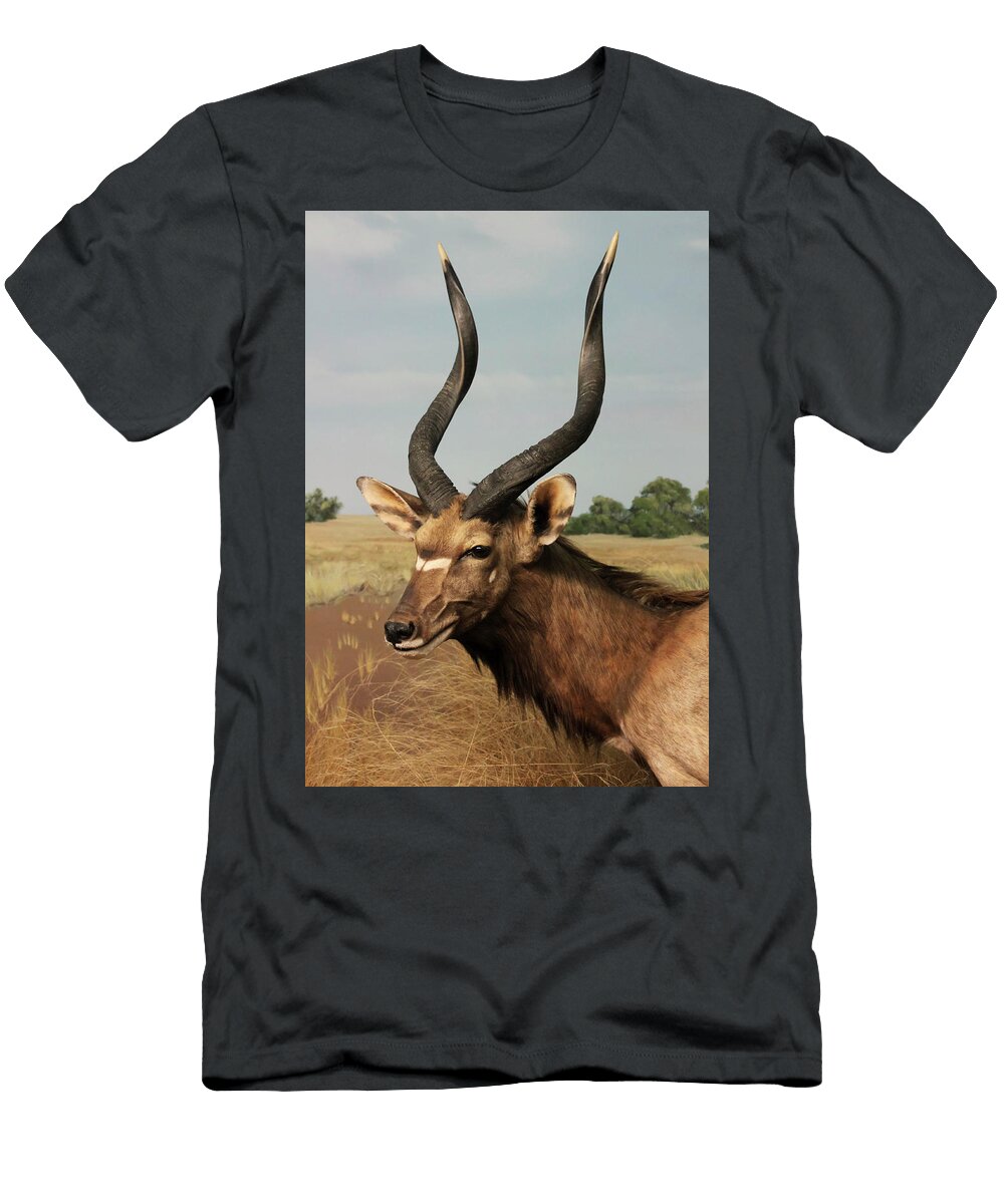 A Lowland Nyala Antelope Africa Derrick Neill T-Shirt
