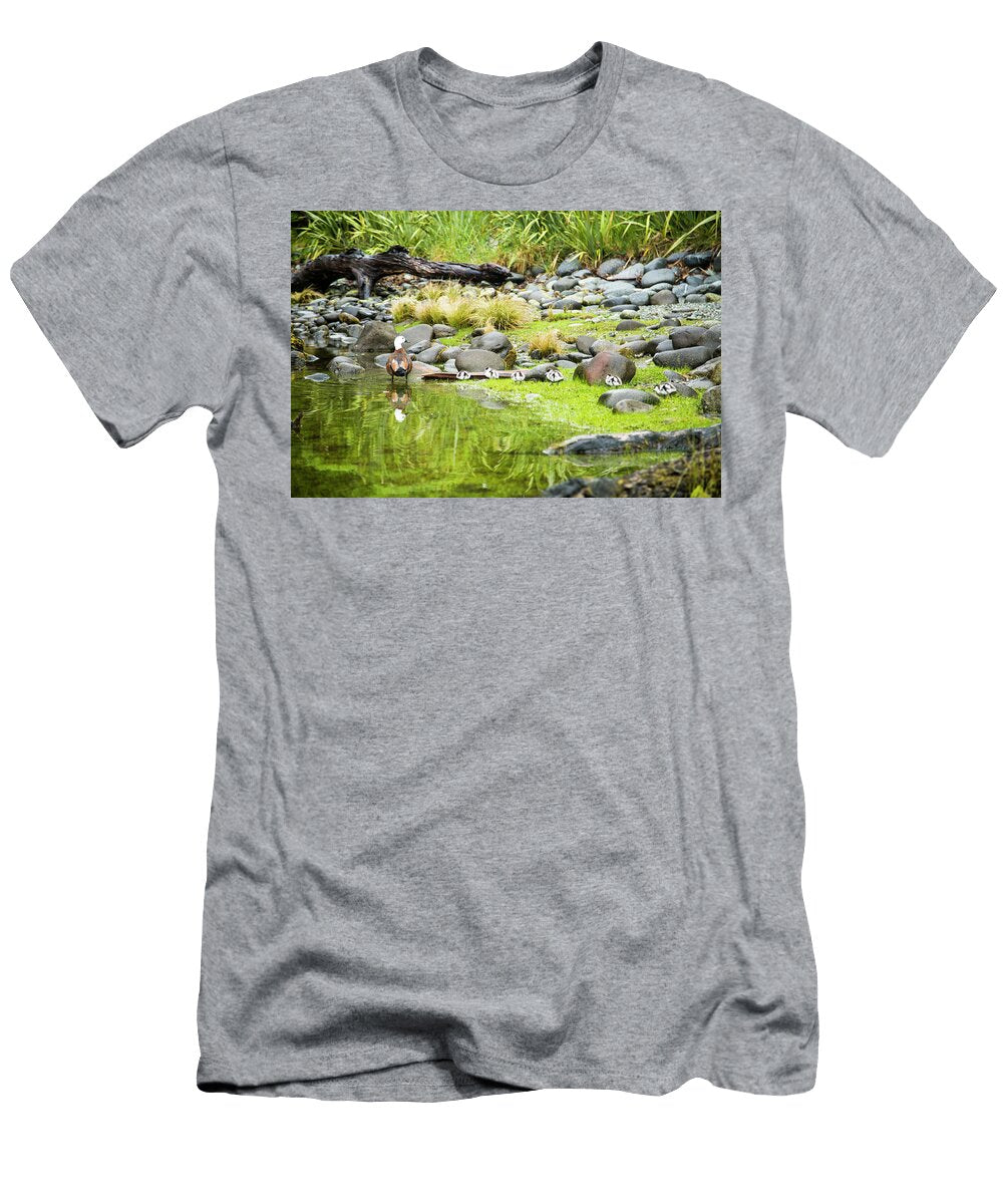 A Paradise Shelduck and Its Ducklings Paul Bikis T-Shirt