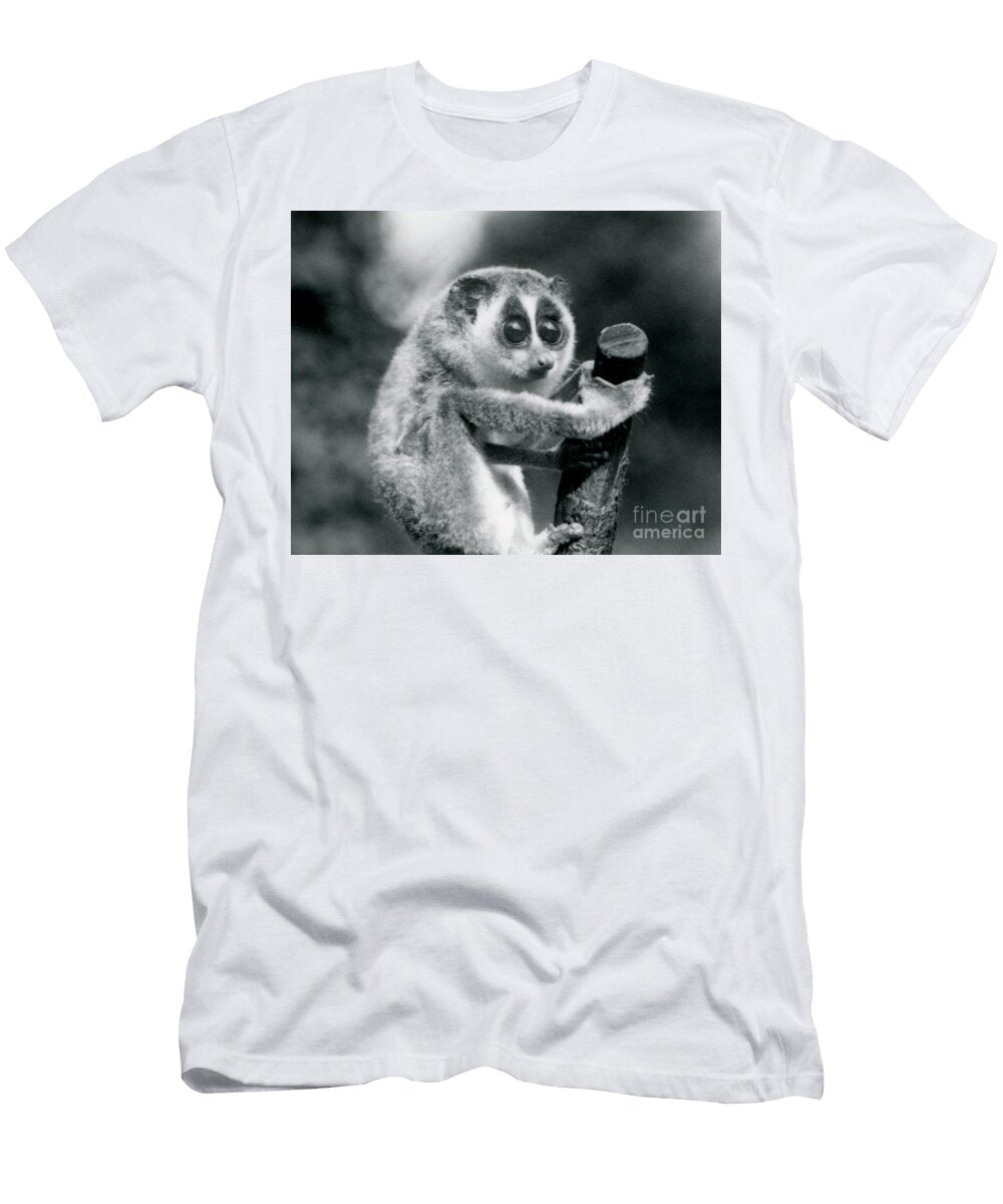 A Slender Loris Holding on to the End of a Branch Frederick William Bond T-Shirt