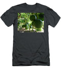Abundance Cat Pancake T-Shirt