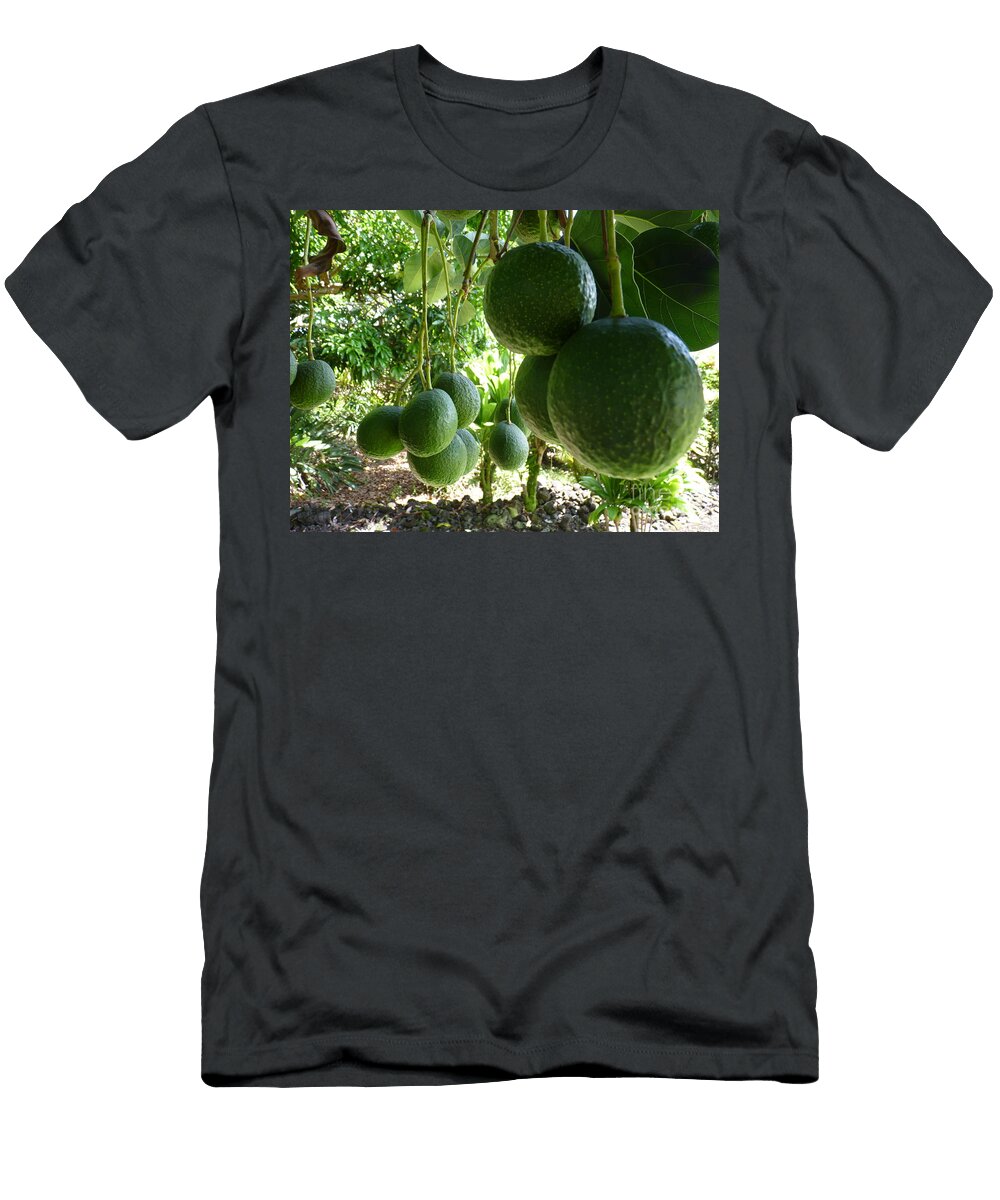 Abundance Cat Pancake T-Shirt