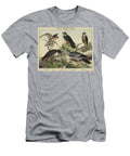 Accipitres Falcons and Hawks European School T-Shirt