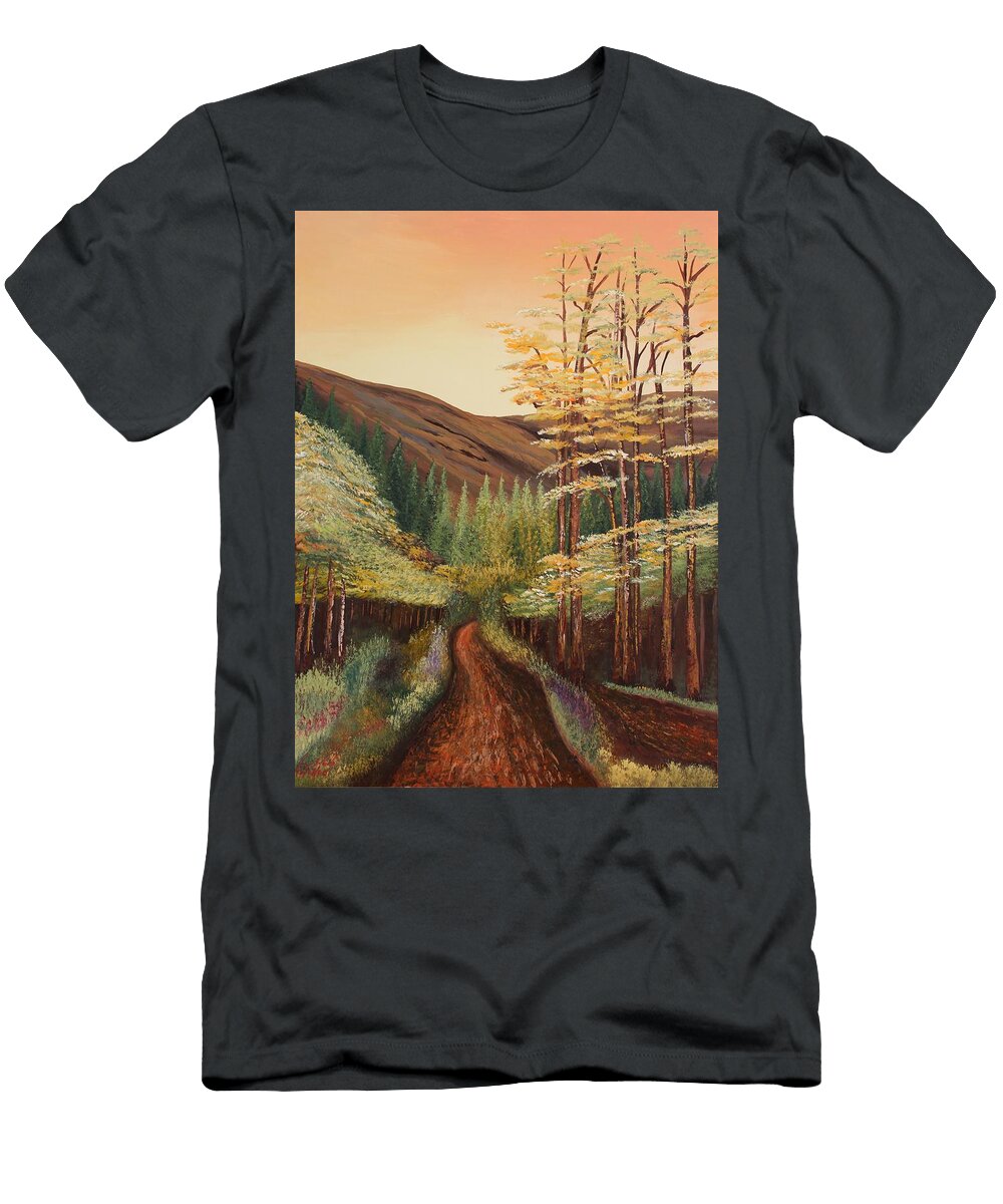 Acrylic Msc 082 Mario Sergio Calzi T-Shirt